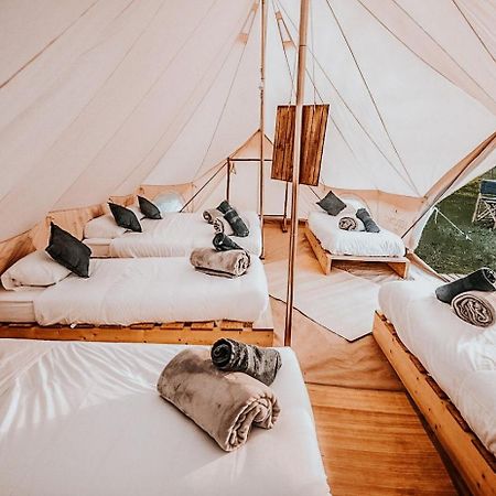 Lodg'Ing Nature Camp Chateaux De La Loire 塞莱特 外观 照片